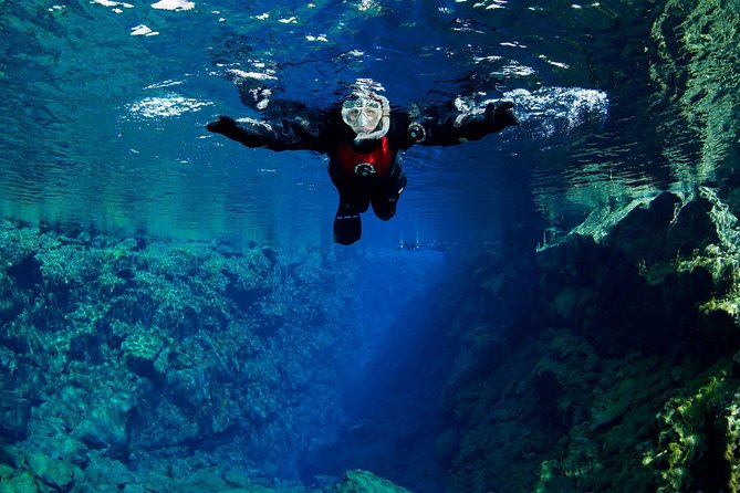 Silfra: Snorkeling Between Tectonic Plates Pick Up from Reykjavik - Price and Value: What $225 Covers (and Why It Adds Up)