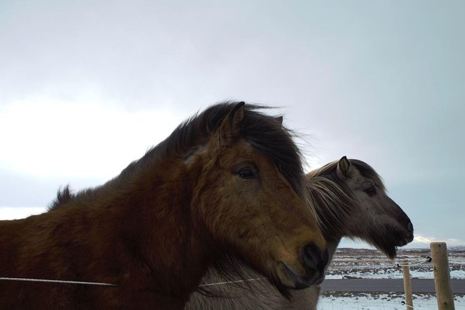 Small-Group Golden Circle Full-Day Tour from Reykjavik - The Extra Stops: Helpful Breaks and Small Detours