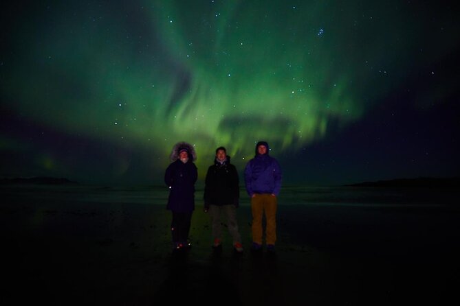 Small group Hunting for the Northern Lights in Reykjavík engrus - Driving Through the Night: Ocean Coast Views and Safer Sight-Spotting