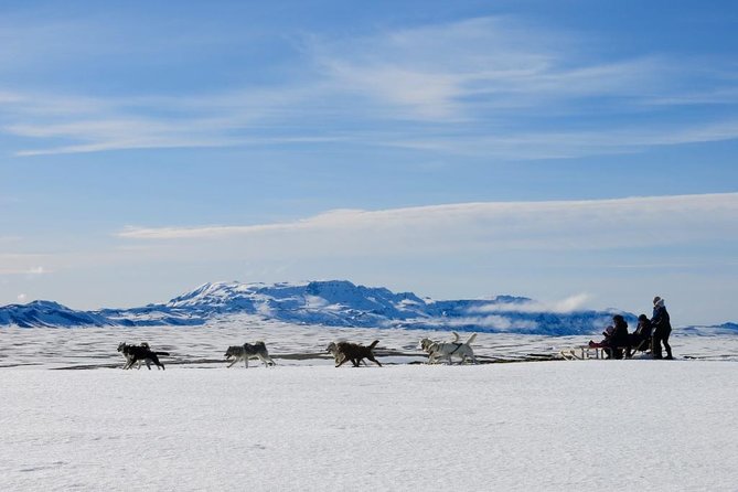 Small Group Husky Sledding Tour from Capital Region - Reykjavik Husky Sledding Near Mosfellsbær: The Setup That Makes It Feel Worth It