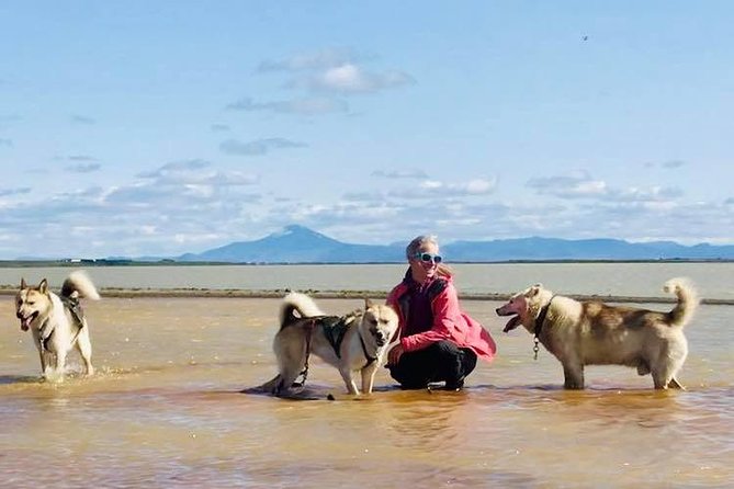 Small Group Husky Sledding Tour from Capital Region - Price and Value: Is $395.62 a Good Deal for 35 Minutes?