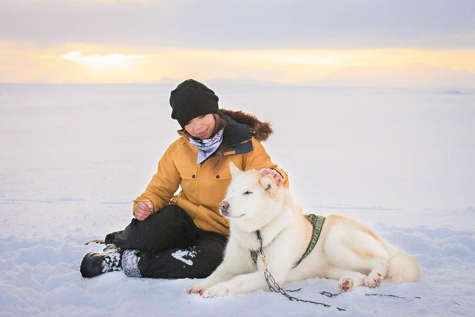 Small Group Husky Sledding Tour from Capital Region - Meet the Dogs and Take Photos: The Part That Most People Remember