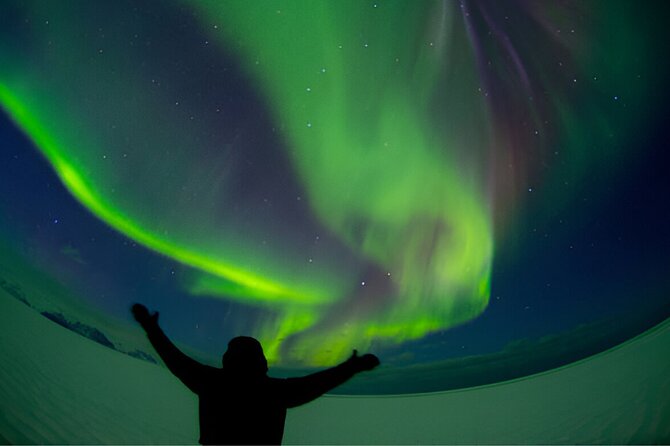 Small-Group Tour: Northern Lights with Photos & Hot Chocolate - How the guide chooses where to look (and why flexibility pays)