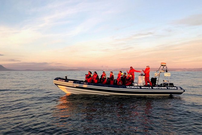 Small-group Whale Watching in the Midnight Sun from Reykjavík - Old Harbour first stop: timing matters more than you expect