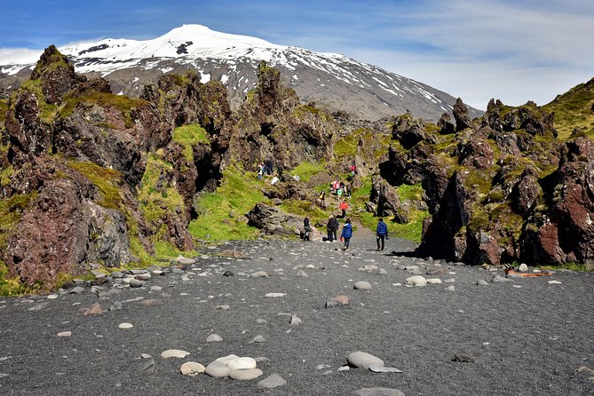 Snaefellsnes NP Small-Group Tour with Local Lunch from Reykjavik - Comfort, Group Size, and the Role of the Driver-Guide