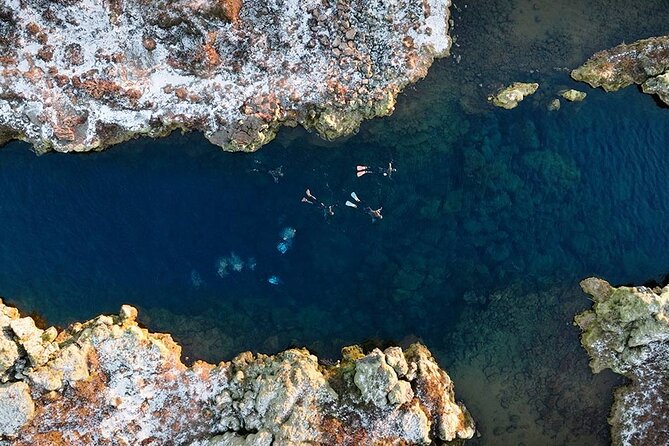 Snorkel the Silfra Fissure-Meet on Location (Free Photos & Cocoa) - What You Will See Under the Water (and What You Should Not Expect)
