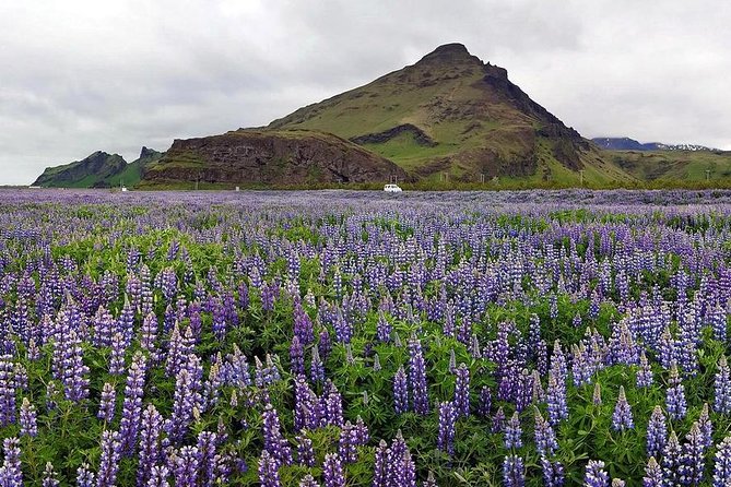 South Coast. Private Day Tour from Reykjavik - Why the South Coast works best as a private day