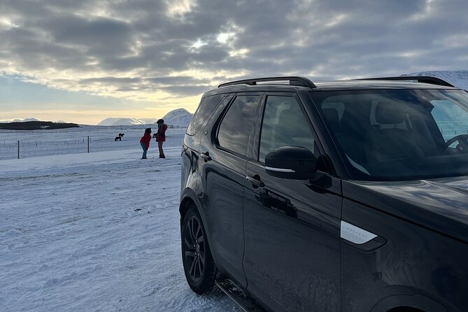 South Coast - Private Tour From Reykjavik. - Stop 3 Dyrhólaey: birds, big coastline views, and seasonal access