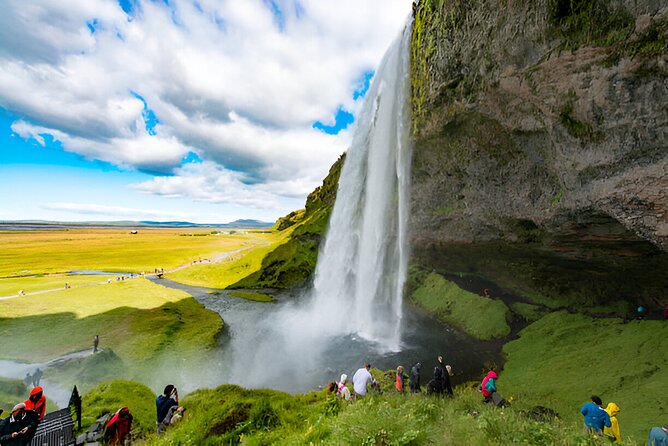 South Coast Private Tour with 6+ Stops: Day Tour from Reykjavik - Seljalandsfoss to Dyrhólaey: Waterfall Drama and Cliff Birdlife