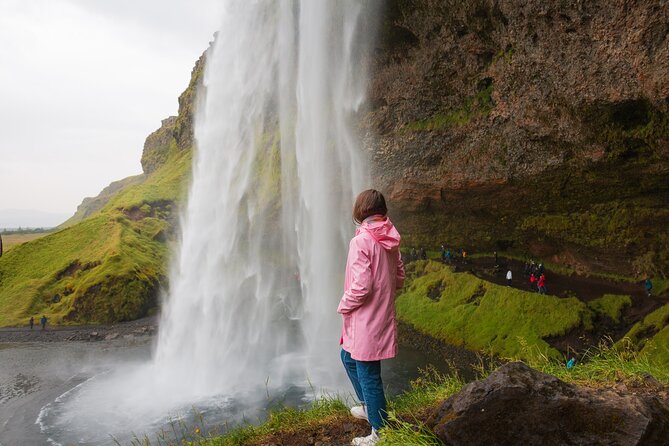 South Iceland, Glacier and Black Sand Beach Small Group Tour - Key highlights that matter on the ground