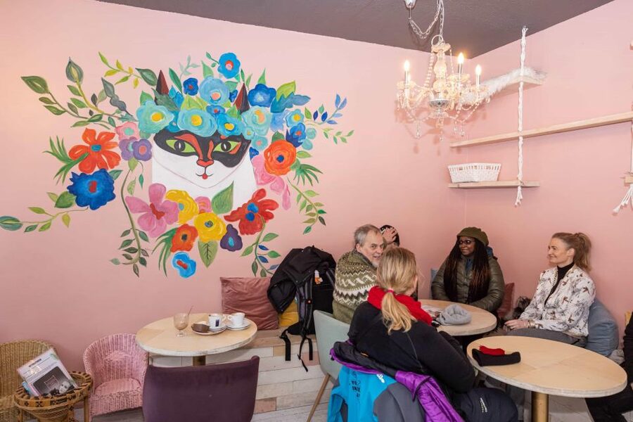 The Private Reykjavik CatWalk - A 2-hour Private Reykjavik walk built around cat myths