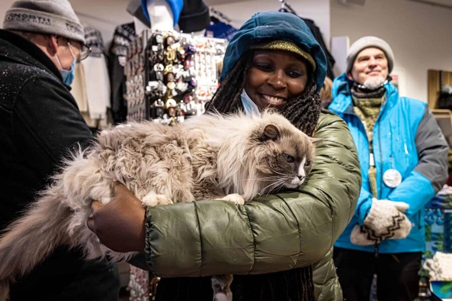 The Private Reykjavik CatWalk - Kattakaffihúsið stop: coffee, hot cocoa, and petting cats