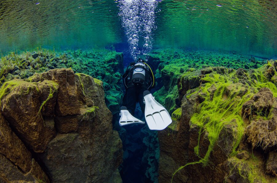 Thingvellir: Silfra Fissure Diving with Optional Pickup - Who should book, and who should skip