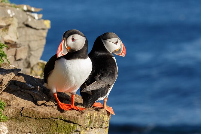 Unforgettable 5-Day Iceland Stopover Tour - Key highlights to pay attention to