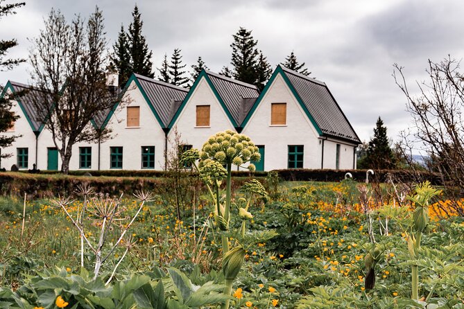 Unforgettable Full-Day Golden Circle Private Tour from Reykjavík - Stop 1: Þingvellir National Park, Althing stories in a rift valley