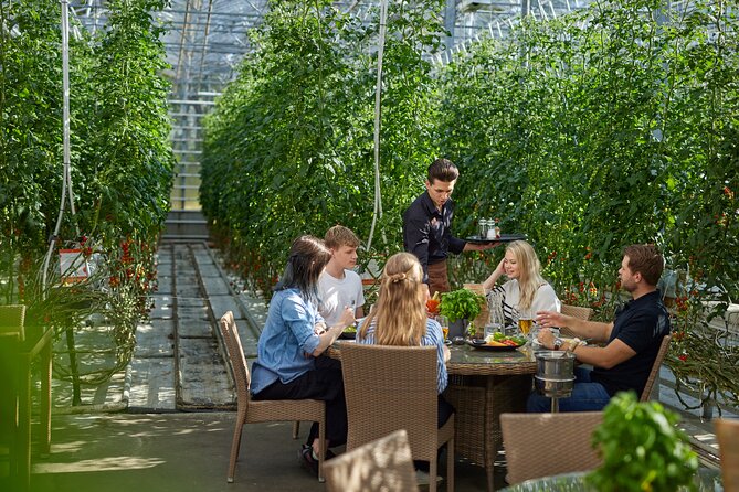 Unique Private Golden Circle, Secret Lagoon & Friðheimar Tour - Fríðheimar tomato farm: geothermal energy in a greenhouse and tomato soup as the payoff