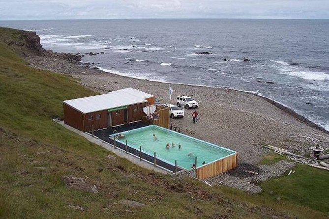 Westfjords Strandir - Private - Wildlife Chances: Puffins and Humpback Whales, Season Dependent