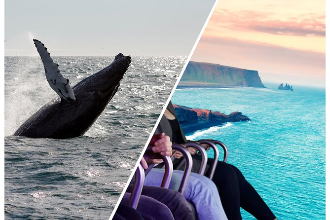 Whale Watching And Fly Over Iceland Guided Tour - Key Highlights That Make This Combo Work