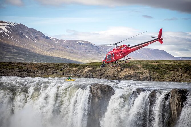 Whale Watching And Fly Over Iceland Guided Tour - If No Whales Are Spotted: How the Tour Handles It