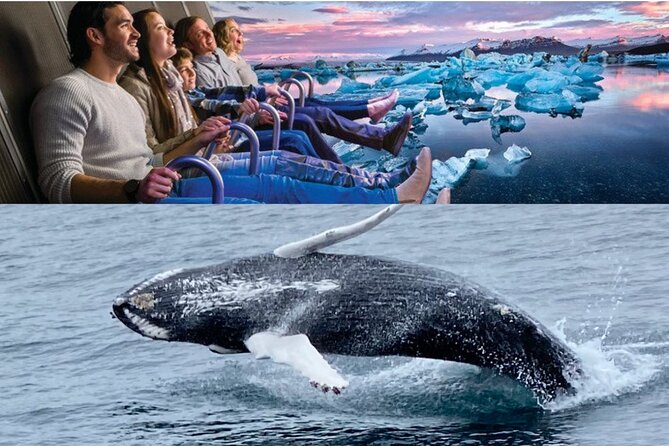Whale Watching And Fly Over Iceland Guided Tour - Getting Comfortable on the Boat: Overalls, Indoor Cabins, Wi-Fi, and Restrooms