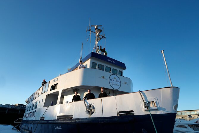 Whale Watching and Marine Life Tour in Reykjavik - From Old Harbour House to Faxafloi Bay: timing that actually helps