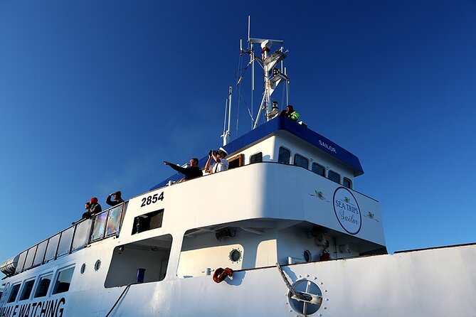 Whale Watching and Marine Life Tour in Reykjavik - Weather matters more than hype