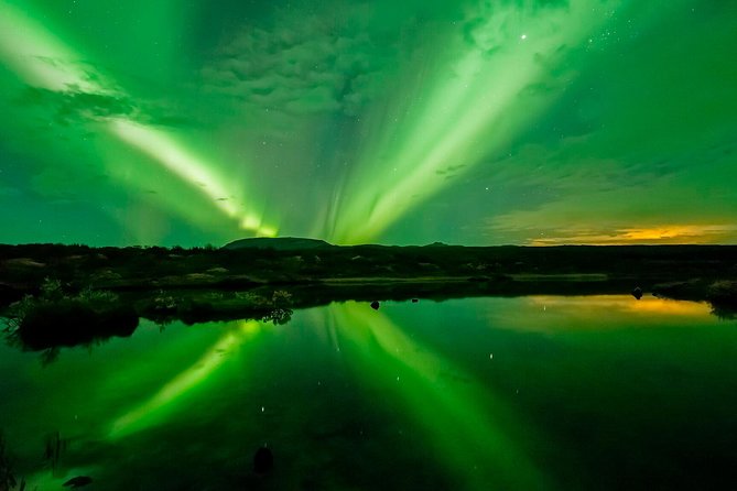 Whale Watching and Northern Lights Half-Day Combo Tour - What to expect during the whale route, deck viewing and guide commentary