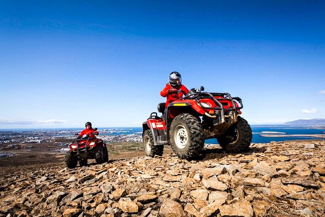 Whale Watching & ATV Adventure from Reykjavik - What you might spot in Faxaflói Bay, plus puffins and seabirds