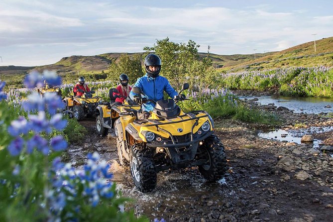 Whale Watching & ATV Adventure from Reykjavik - Should you book this Reykjavik whale watching and ATV day?