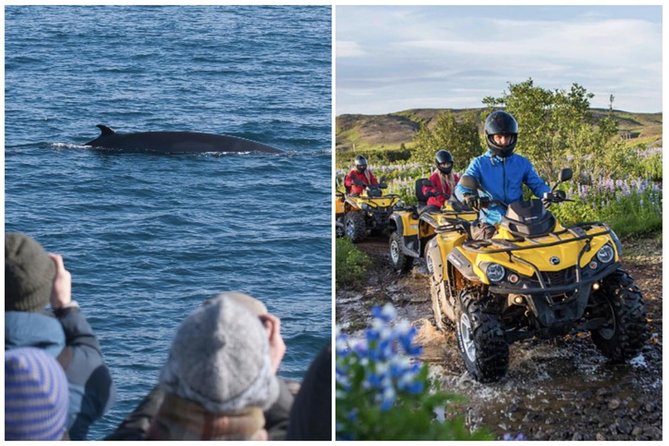 Whale Watching & ATV Adventure from Reykjavik - The 1-hour ATV ride, fell-top views, and how wild it really feels