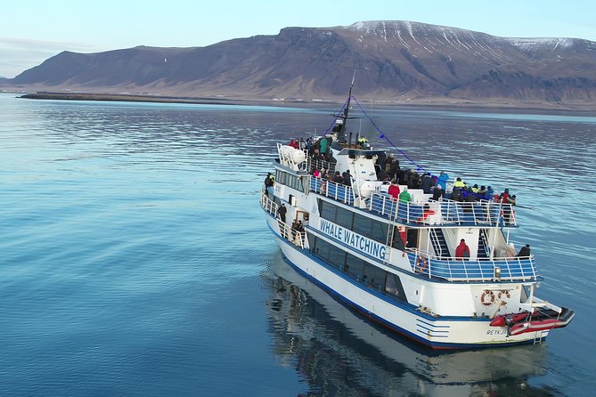 Whale-Watching Boat Tour with Expert Guide from Reykjavik - Reykjavik Old Harbor to Faxaflói Bay, the part that actually matters