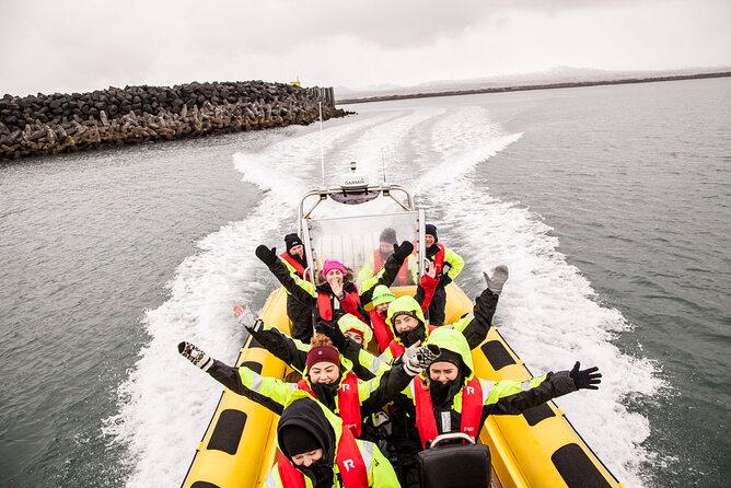 Whale Watching by RIB Speedboat from Downtown Reykjavik - Key Points You’ll Care About