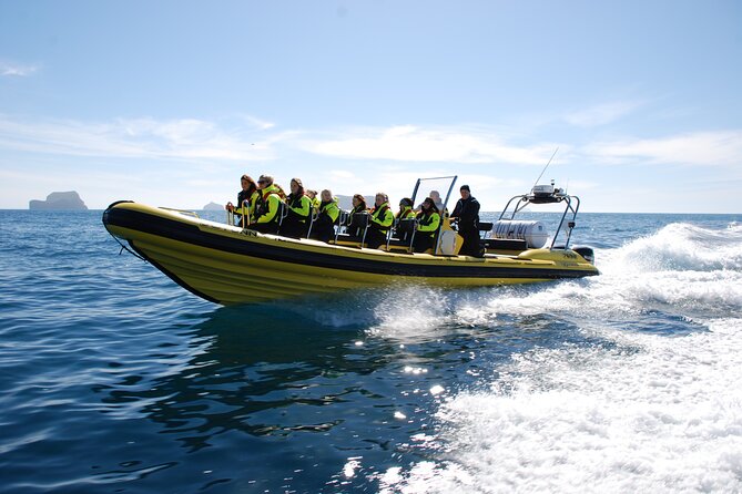Whale Watching by RIB Speedboat from Downtown Reykjavik - What It’s Like When the Spray Starts: Gear and Comfort Reality Check