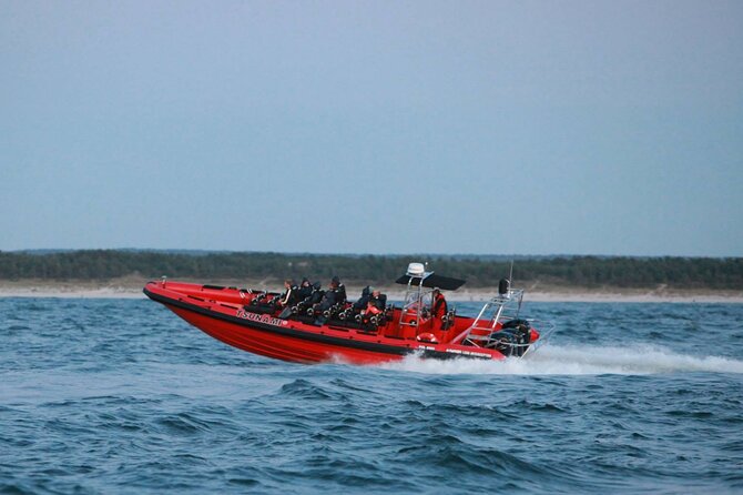 Whale Watching by RIB Speedboat from Downtown Reykjavik - How the RIB Format Improves Your Whale Chances