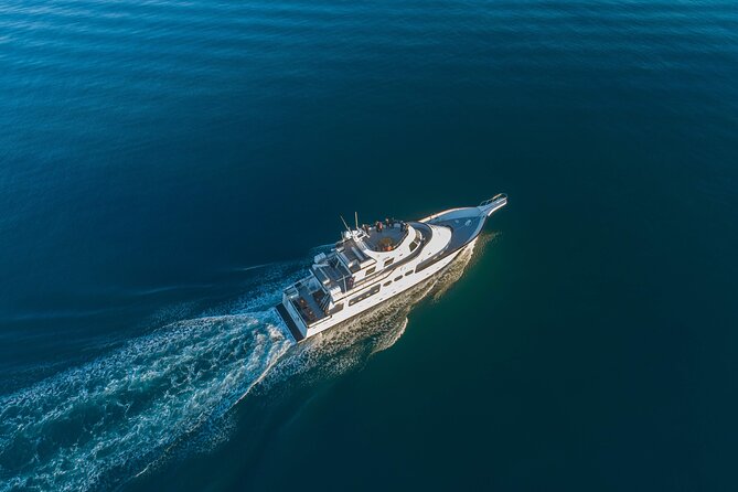 Whale Watching Cruise on a Yacht in Reykjavik - Old Harbour House Meeting Point and Finding Your Spot
