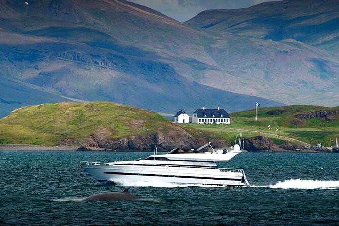 Whale Watching & Dolphin Yacht Cruise - Onboard Comfort and Connectivity: Blankets, Warm Spaces, and Live Sharing