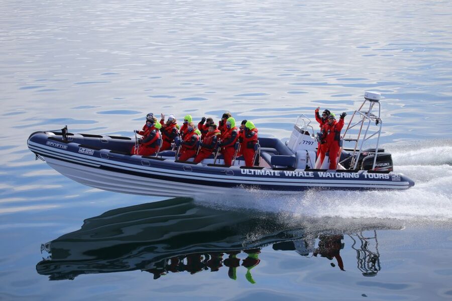 Whale Watching in Reykjavik by Speedboat - Where you start: Old Harbour meet-up and how to plan your arrival