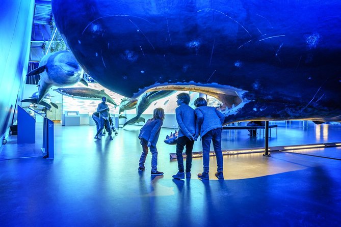 Whales Of Iceland Admission Ticket - Entering Whales Of Iceland in Reykjavik, Then Getting Oriented Fast