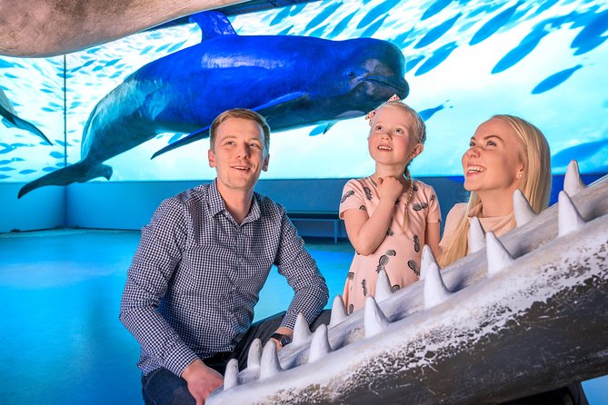 Whales Of Iceland Admission Ticket - Guided Tours at 11:00 and 15:00: Worth It for Families and First-Timers