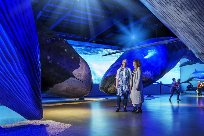 Whales of Iceland from Land and Sea - Timing options and walking logistics between museum and dock