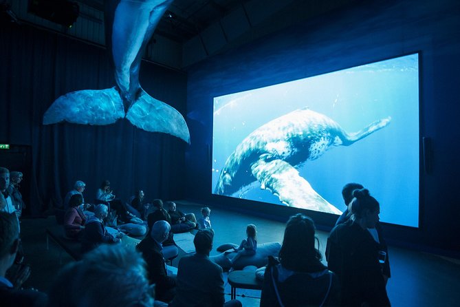 Whales of Iceland from Land and Sea - Price and value: what $120.15 includes and why it adds up