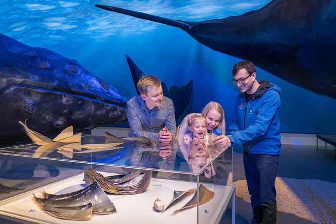Whales of Iceland from Land and Sea - Captain briefing to thermal overalls: comfort on the bay matters