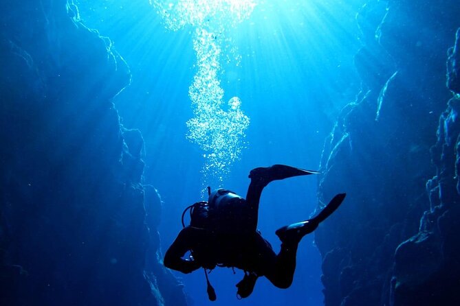 Where and How You Want Private Tour with Wilmar English or Spanish - Price and what the $900 per group really means