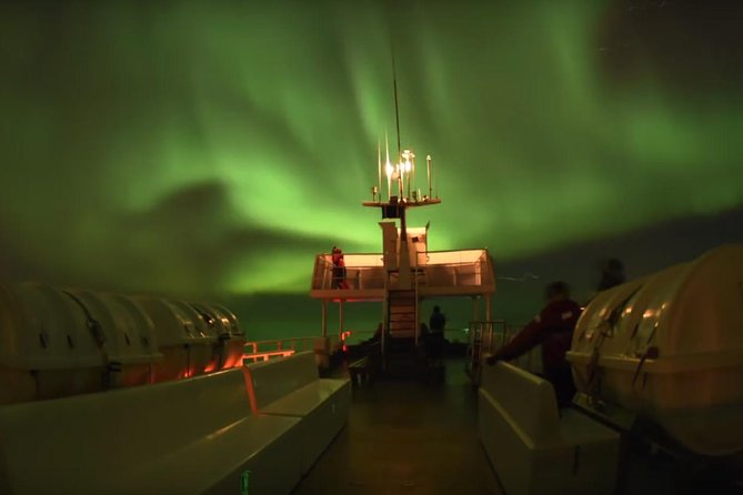 Winter Whale Watching and Northern Lights Cruise from Reykjavik - Wildlife Exhibition time: why it can be a good warm-up