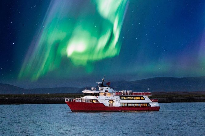 Winter Whale Watching and Northern Lights Cruise from Reykjavik - Whale sightings and the practical meaning of the free-try guarantee